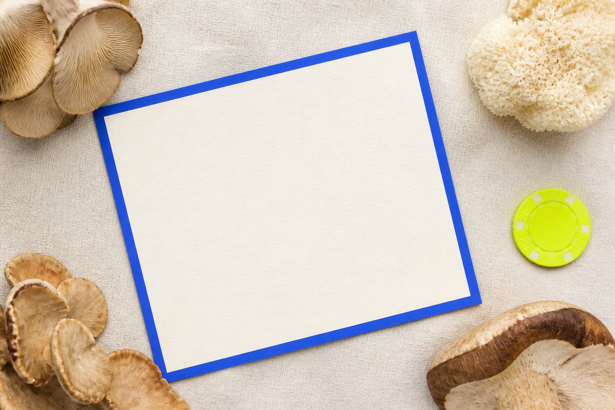 Bone review card, cobalt edge, lime chip: first-week gut cloth, no B12 percent